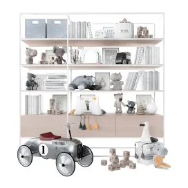 Bookcase with toys books